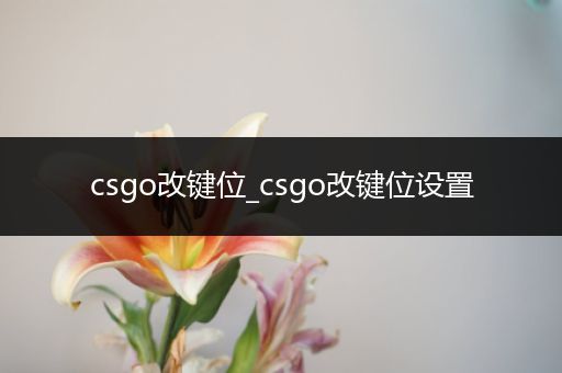 csgo改键位_csgo改键位设置