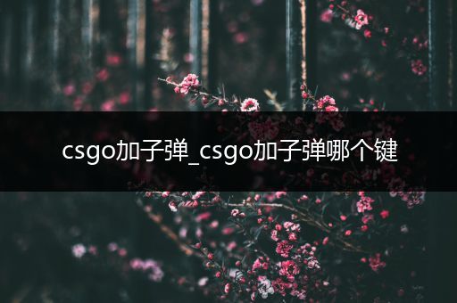 csgo加子弹_csgo加子弹哪个键