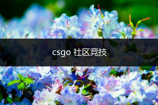 csgo 社区竞技