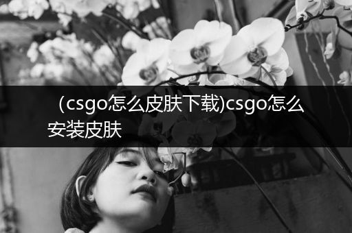 （csgo怎么皮肤下载)csgo怎么安装皮肤