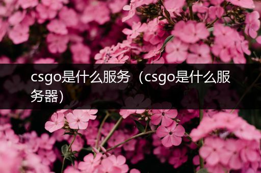 csgo是什么服务（csgo是什么服务器）