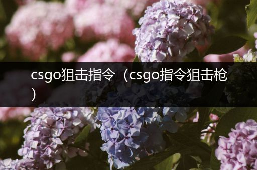 csgo狙击指令（csgo指令狙击枪）