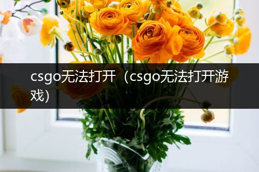 csgo无法打开（csgo无法打开游戏）