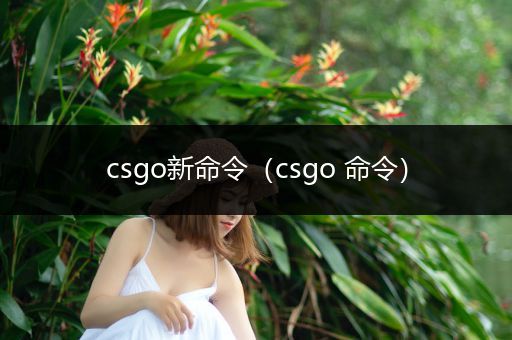 csgo新命令（csgo 命令）