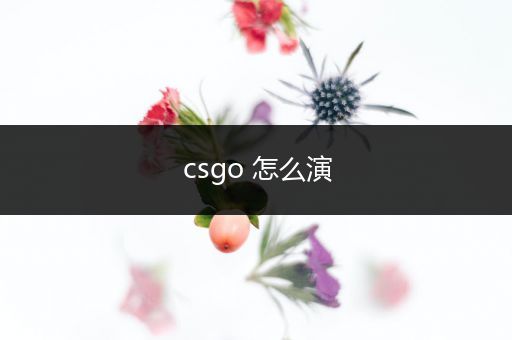 csgo 怎么演