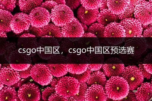 csgo中国区，csgo中国区预选赛