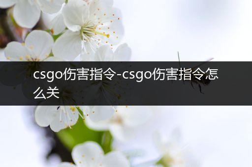 csgo伤害指令-csgo伤害指令怎么关