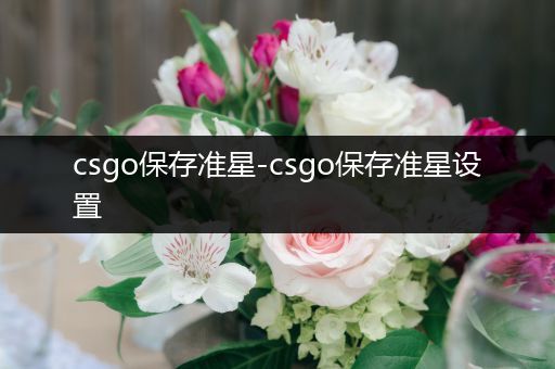 csgo保存准星-csgo保存准星设置