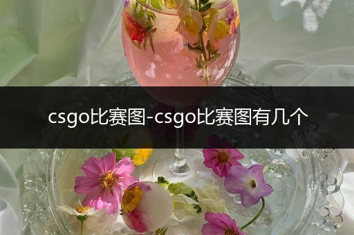 csgo比赛图-csgo比赛图有几个