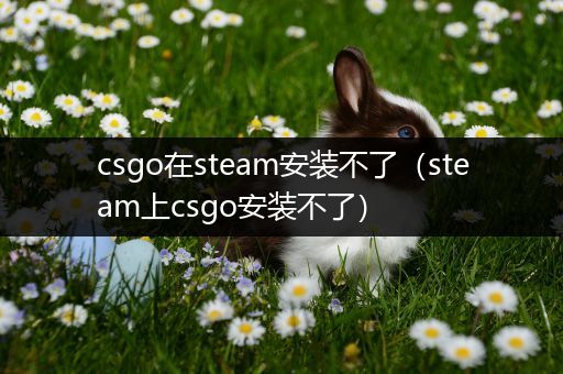 csgo在steam安装不了（steam上csgo安装不了）