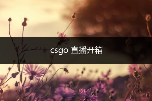 csgo 直播开箱