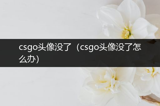 csgo头像没了（csgo头像没了怎么办）