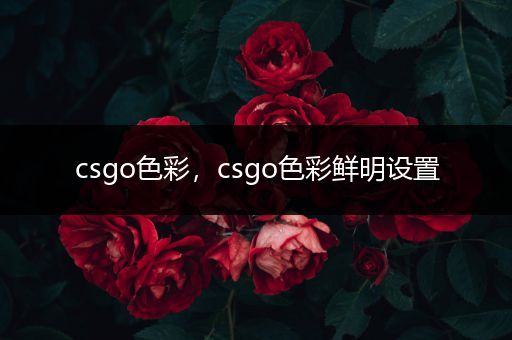 csgo色彩，csgo色彩鲜明设置