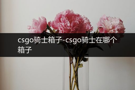 csgo骑士箱子-csgo骑士在哪个箱子