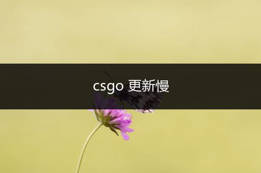 csgo 更新慢