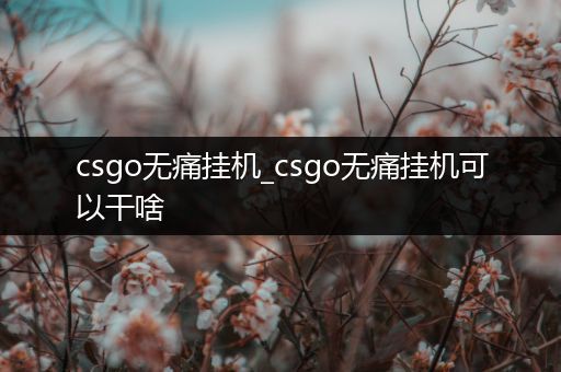 csgo无痛挂机_csgo无痛挂机可以干啥