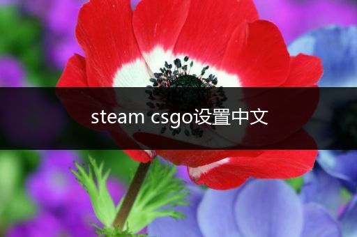 steam csgo设置中文