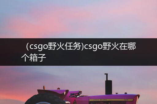 （csgo野火任务)csgo野火在哪个箱子