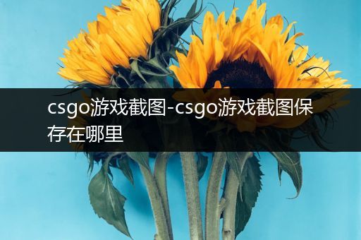 csgo游戏截图-csgo游戏截图保存在哪里