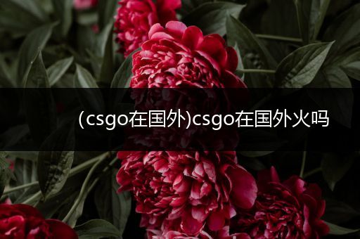 （csgo在国外)csgo在国外火吗