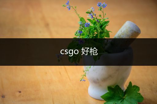 csgo 好枪