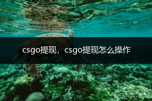 csgo提现，csgo提现怎么操作