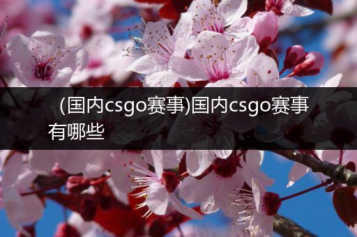 （国内csgo赛事)国内csgo赛事有哪些