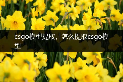 csgo模型提取，怎么提取csgo模型