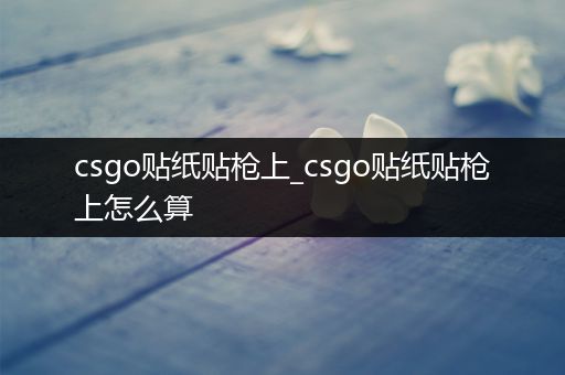 csgo贴纸贴枪上_csgo贴纸贴枪上怎么算