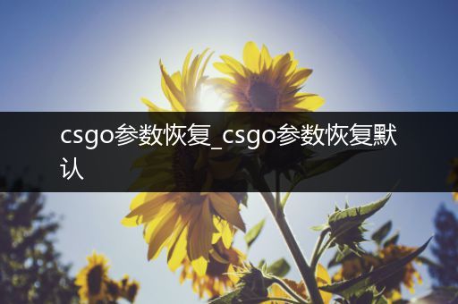 csgo参数恢复_csgo参数恢复默认