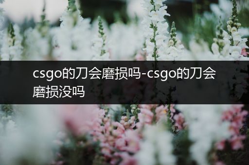 csgo的刀会磨损吗-csgo的刀会磨损没吗