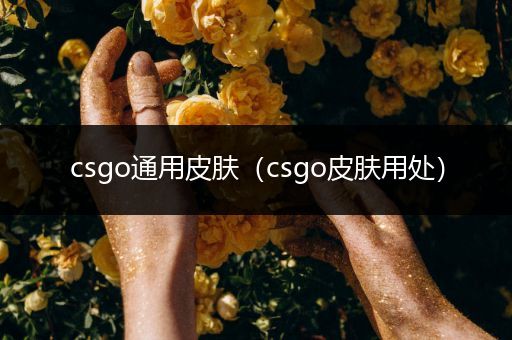 csgo通用皮肤（csgo皮肤用处）