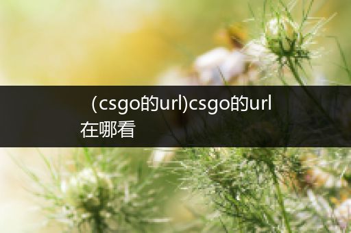 （csgo的url)csgo的url在哪看