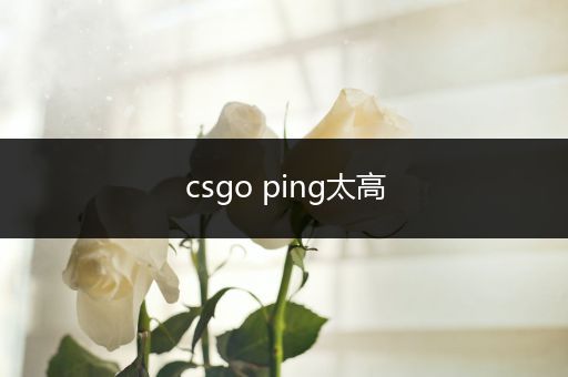 csgo ping太高