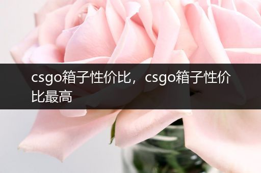 csgo箱子性价比，csgo箱子性价比最高