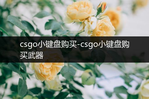 csgo小键盘购买-csgo小键盘购买武器