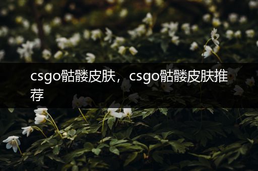 csgo骷髅皮肤，csgo骷髅皮肤推荐