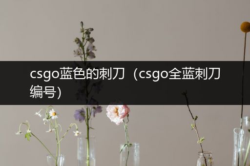 csgo蓝色的刺刀（csgo全蓝刺刀编号）