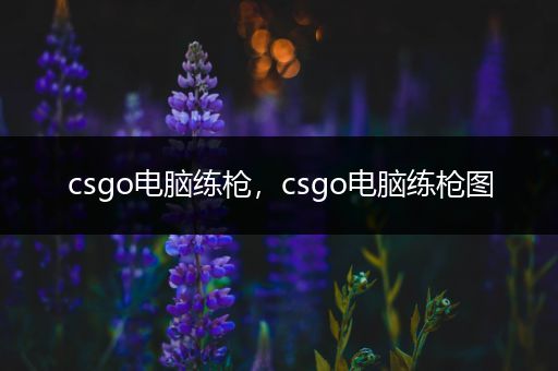 csgo电脑练枪，csgo电脑练枪图