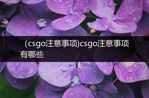 （csgo注意事项)csgo注意事项有哪些