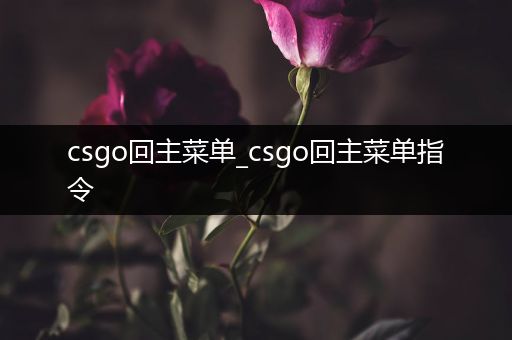 csgo回主菜单_csgo回主菜单指令