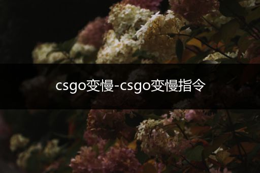 csgo变慢-csgo变慢指令