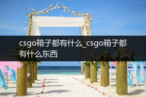 csgo箱子都有什么_csgo箱子都有什么东西