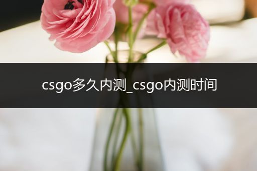 csgo多久内测_csgo内测时间