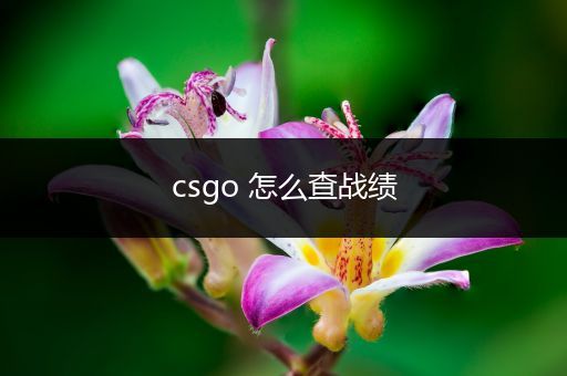 csgo 怎么查战绩