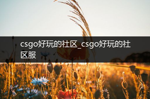 csgo好玩的社区_csgo好玩的社区服