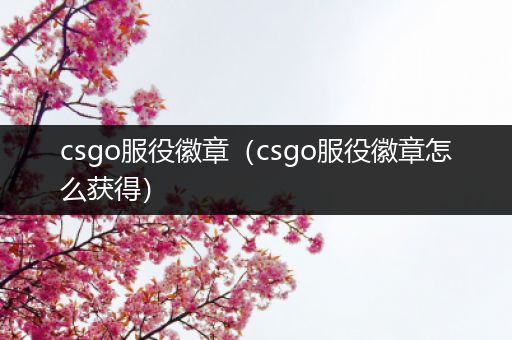 csgo服役徽章（csgo服役徽章怎么获得）