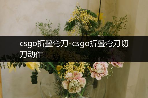 csgo折叠弯刀-csgo折叠弯刀切刀动作