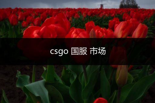 csgo 国服 市场