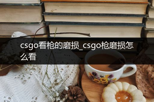 csgo看枪的磨损_csgo枪磨损怎么看